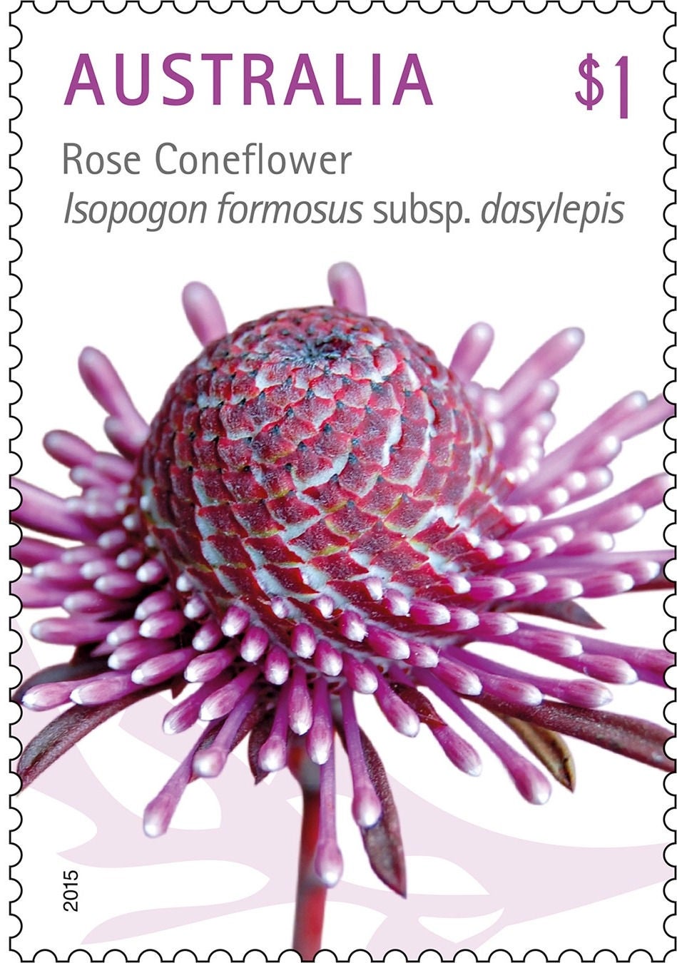 Sample definitive stamp type: 60 cent value with a photo of a fish