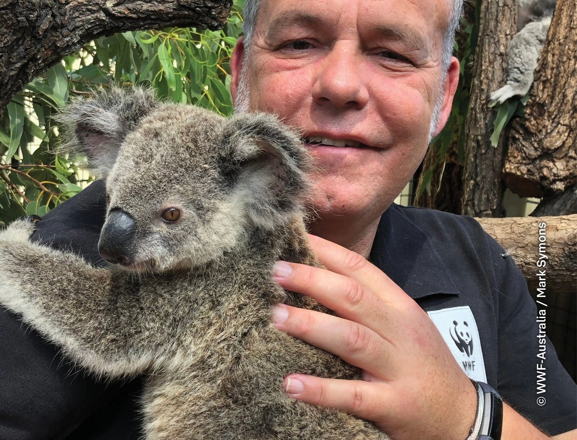 A man holding a Koala