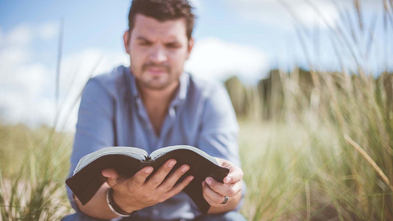 /photo-man-reading-book