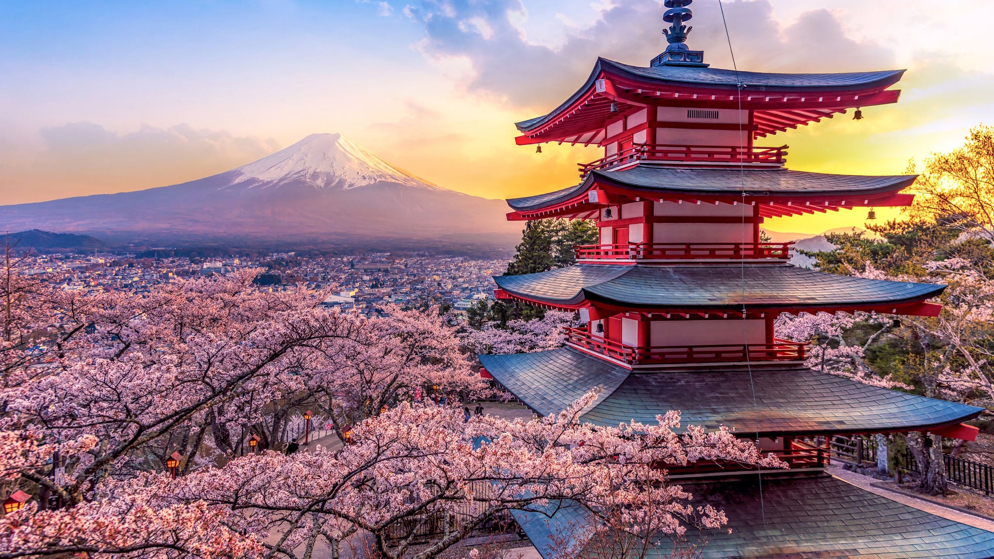photo travel japan mount fuji cherry blossoms temple holiday